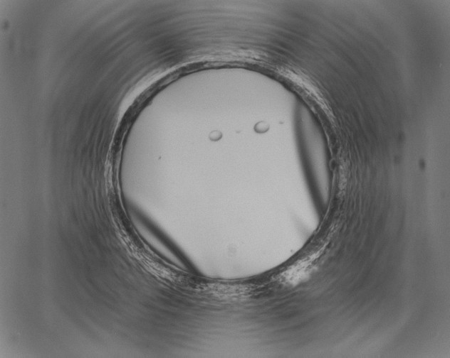 X0000067400928200604211655