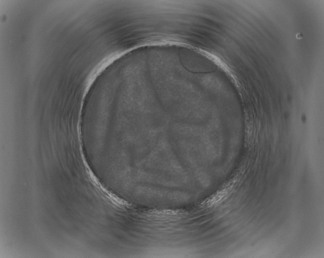 X0000067400943200604211655
