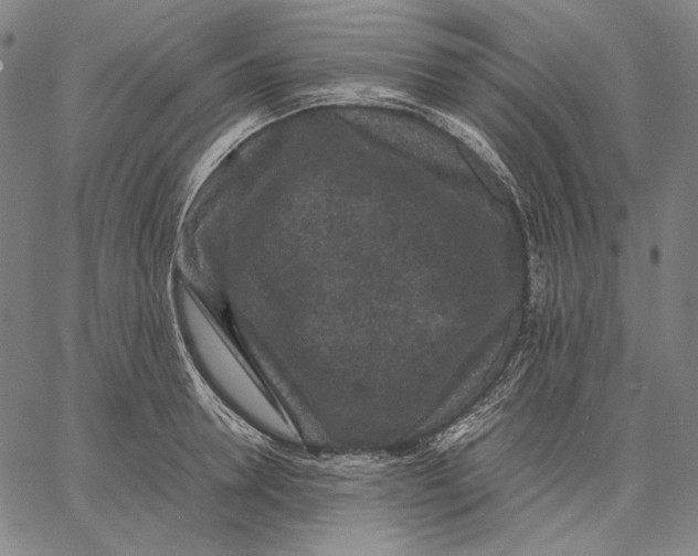 X0000067400946200604211655