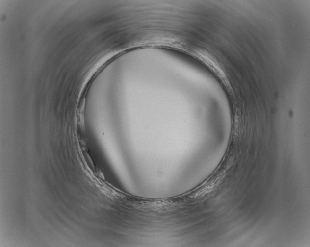 X0000067400948200604211655