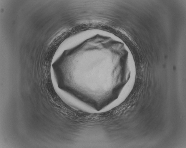 X0000067400967200604211655