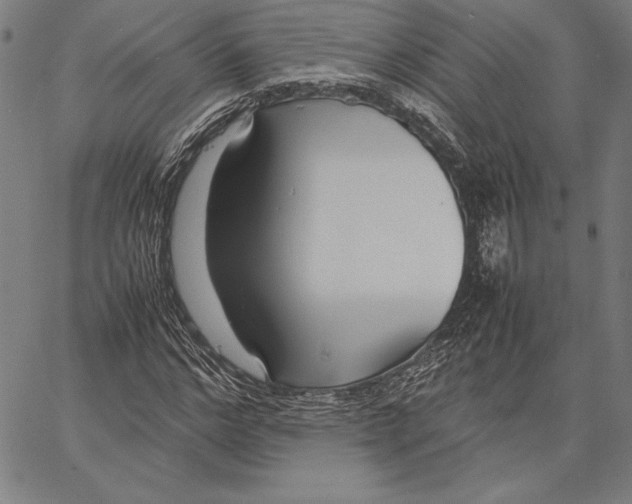 X0000067400968200604211655