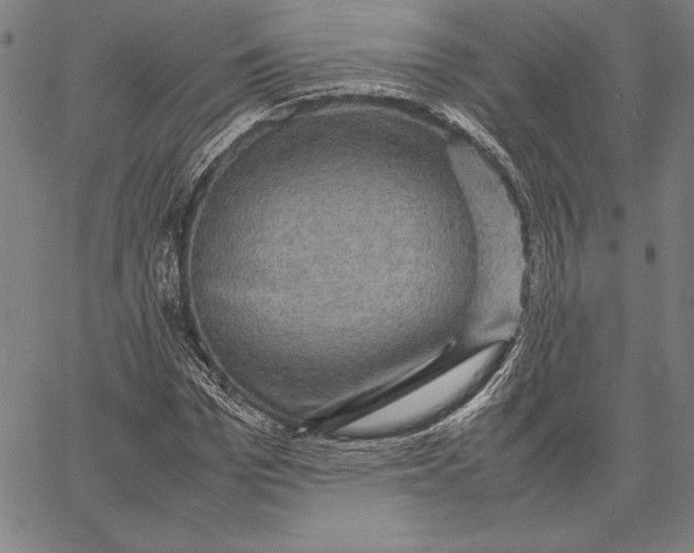 X0000067400969200604211655