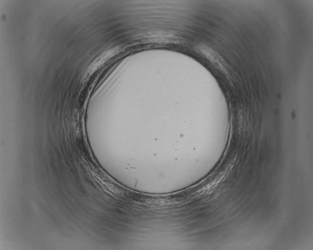 X0000067400970200604211655