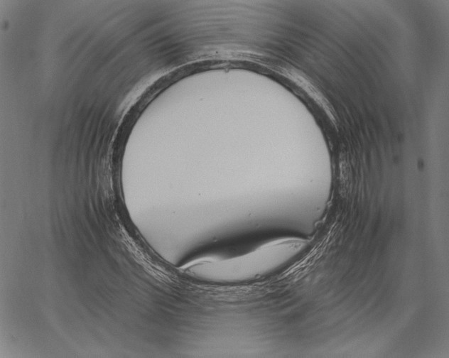 X0000067400972200604211655