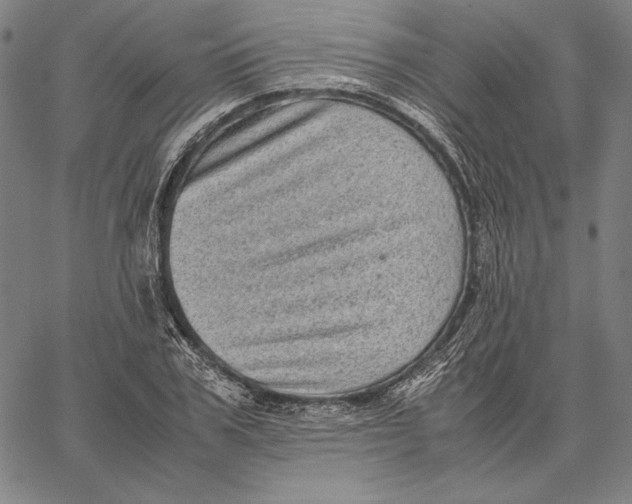 X0000067400979200604211654