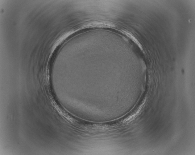X0000067400981200604211654