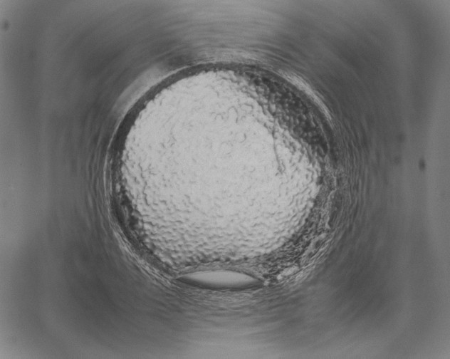 X0000067400983200604211654