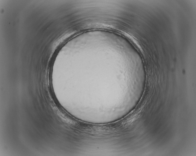 X0000067400987200604211654