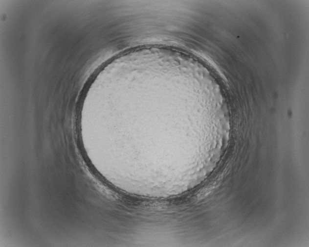 X0000067400991200604211654