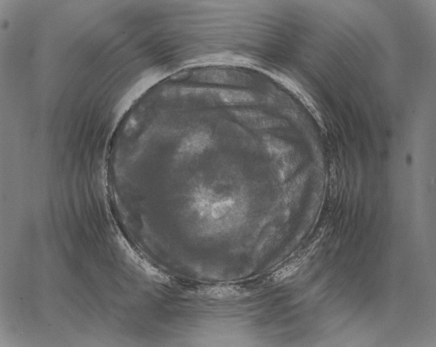 X0000067400998200604211654