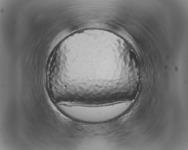 X0000067400999200604211654