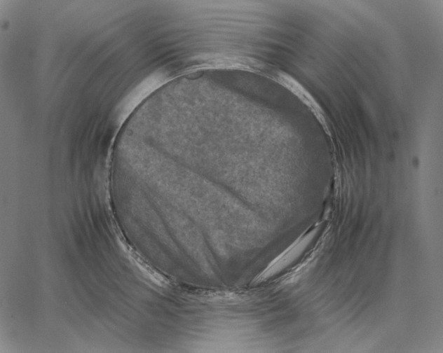 X0000067401002200604211654