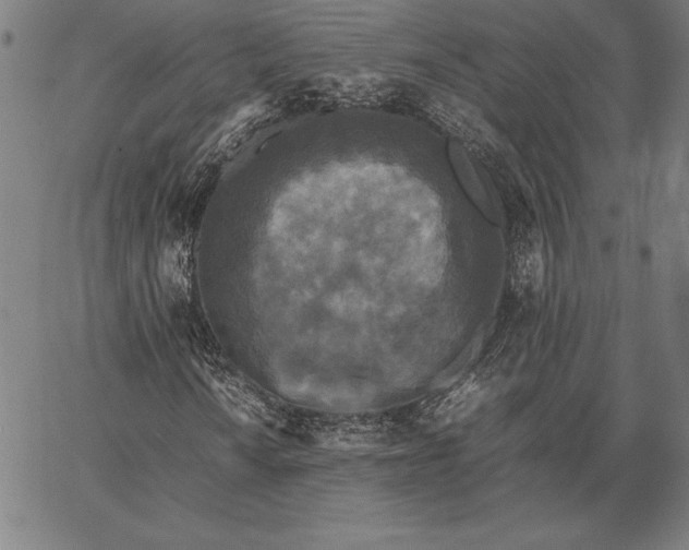 X0000067401010200604211653
