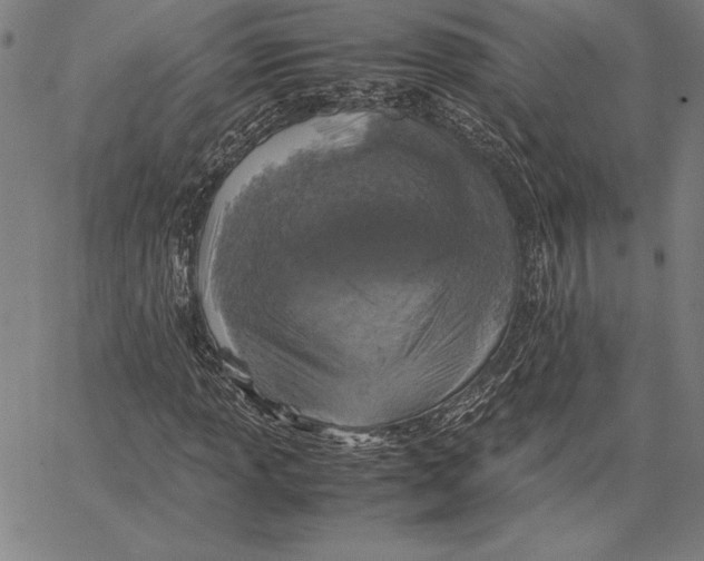 X0000067401013200604211653