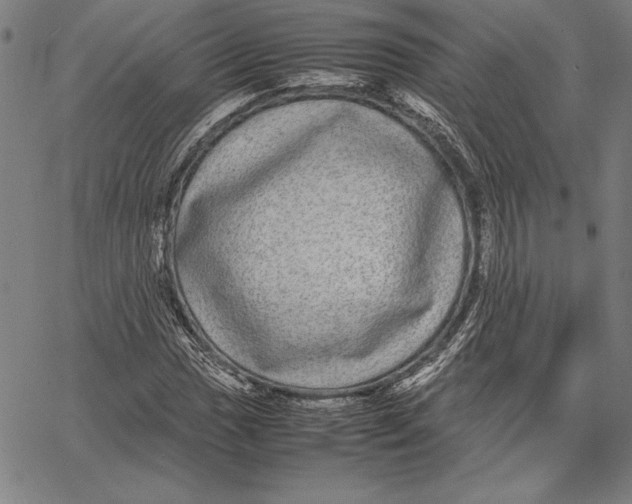 X0000067401017200604211653