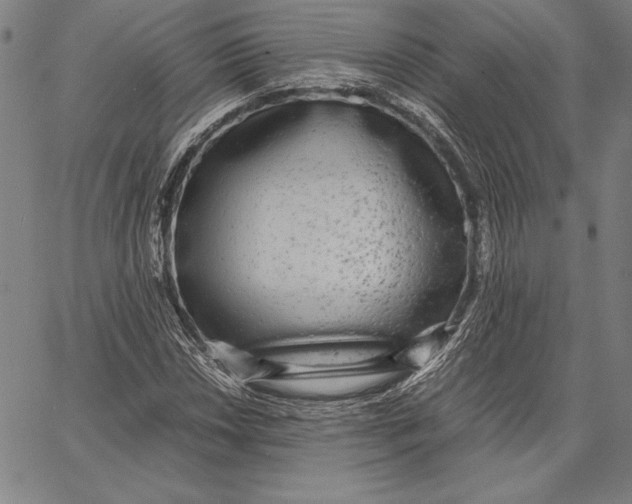 X0000067401018200604211653