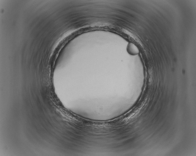 X0000067401021200604211653
