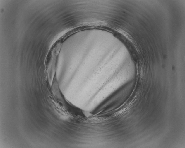 X0000067401022200604211653