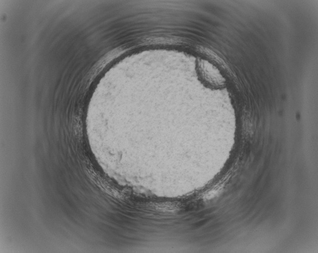 X0000067401025200604211653