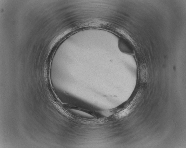 X0000067401026200604211653