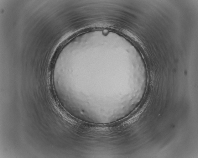 X0000067401029200604211653