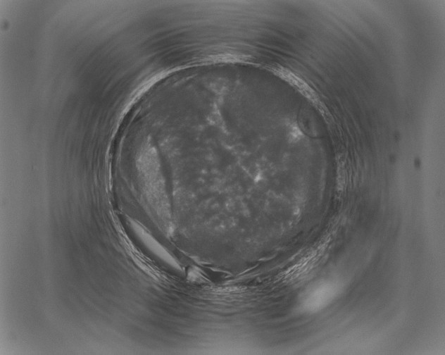 X0000067401031200604211654