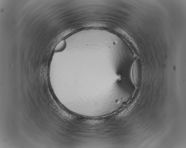 X0000067401033200604211654