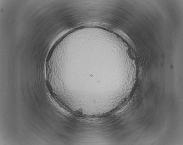 X0000067401036200604211654