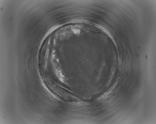 X0000067401045200604211654
