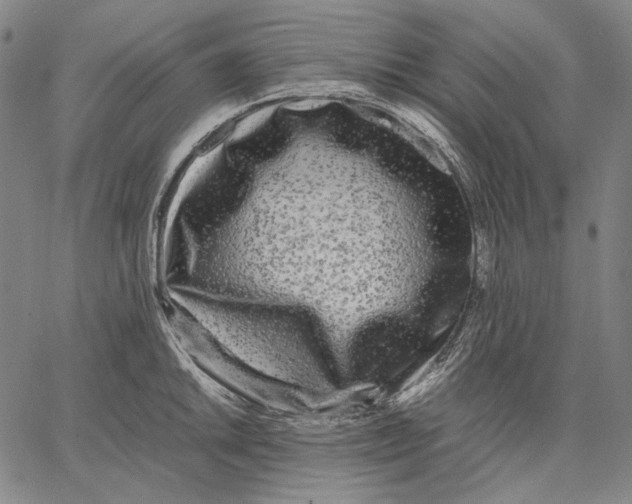 X0000067401046200604211654
