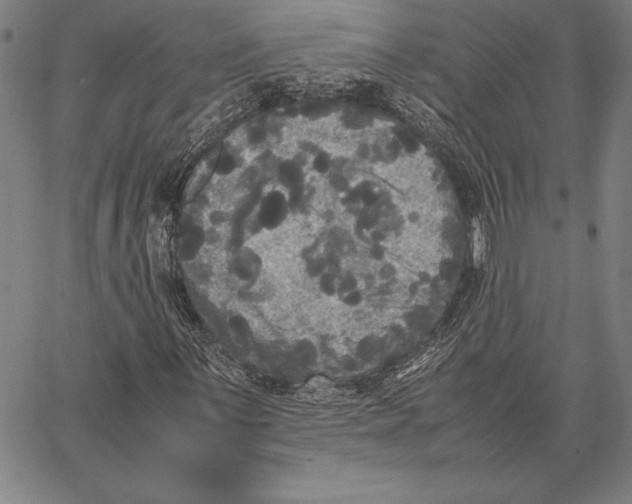 X0000067401059200604211653