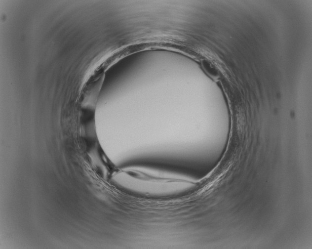 X0000067401069200604211653