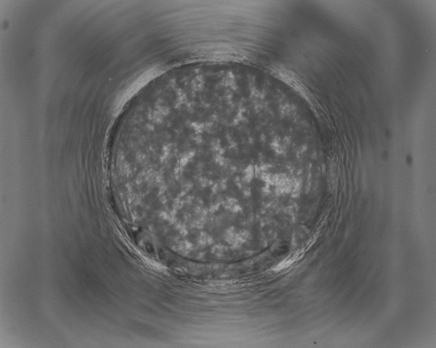 X0000067401071200604211653