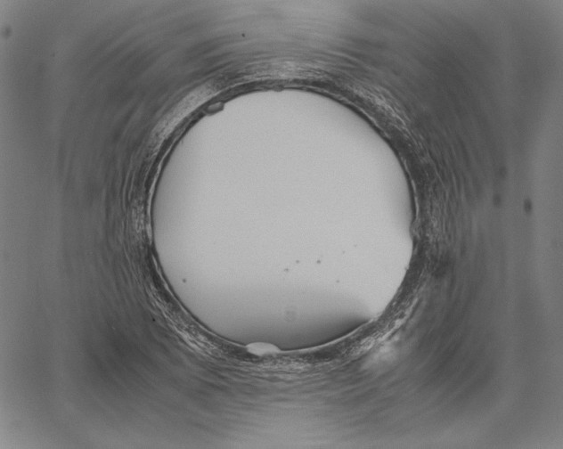 X0000067401073200604211653