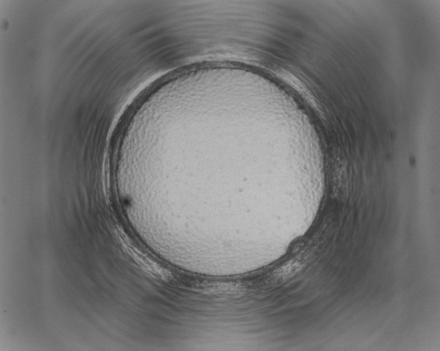 X0000067401076200604211653