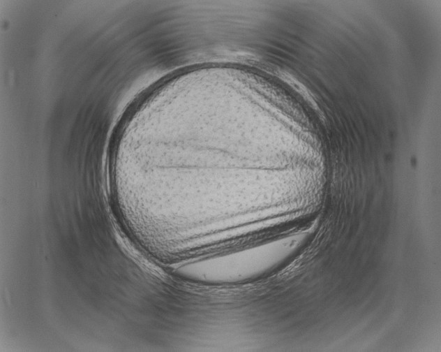 X0000067401080200604211653