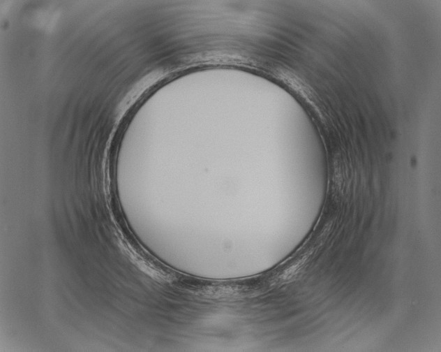 X0000067401082200604211653