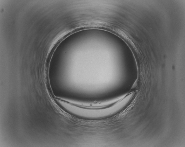 X0000067401085200604211653