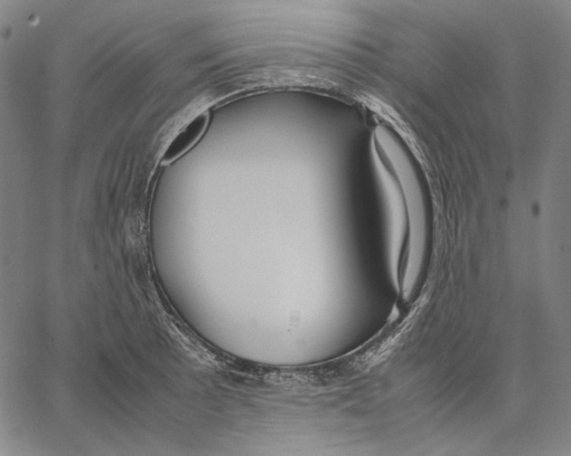X0000067401089200604211653