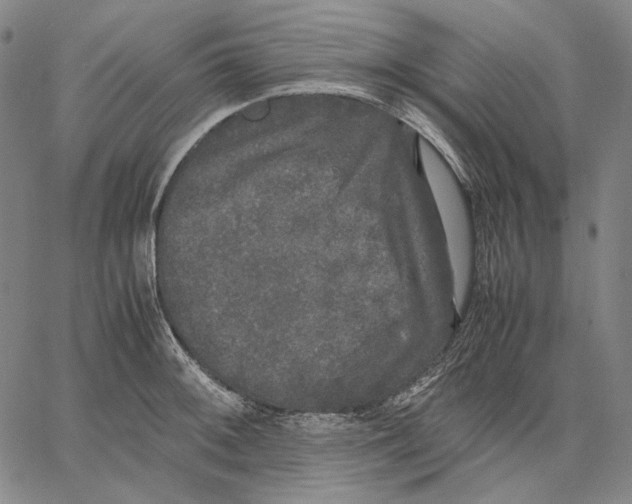 X0000067401092200604211653