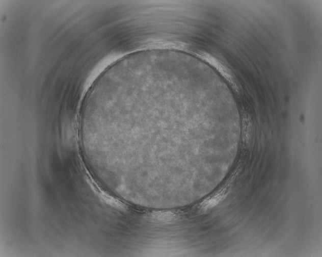 X0000067401094200604211653