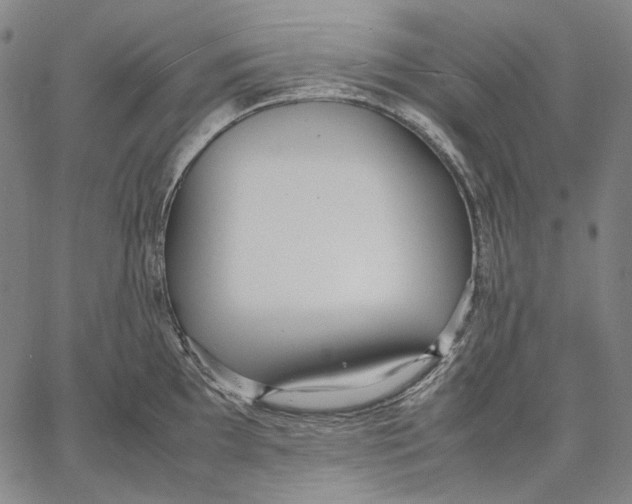 X0000067401097200604211652