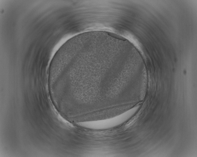 X0000067401102200604211652