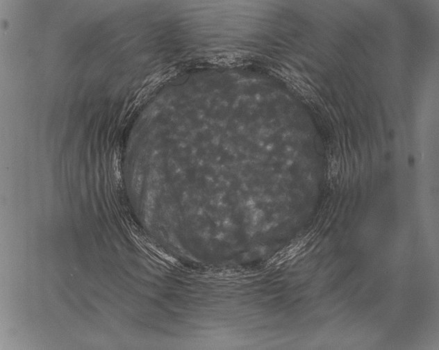X0000067401106200604211652