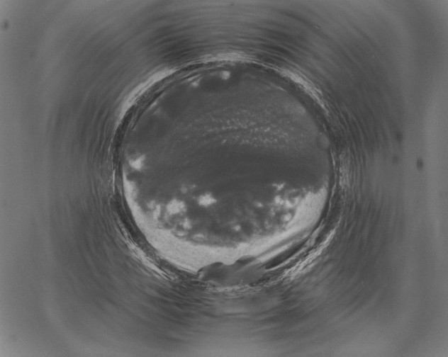 X0000067401117200604211652
