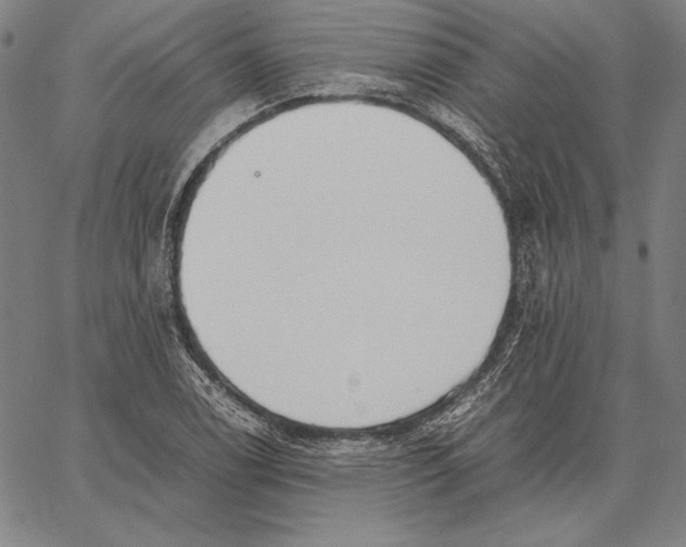 X0000067401122200604211652