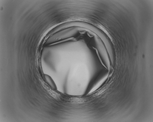 X0000067401124200604211652