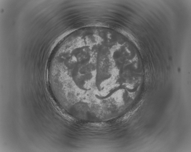 X0000067401125200604211652