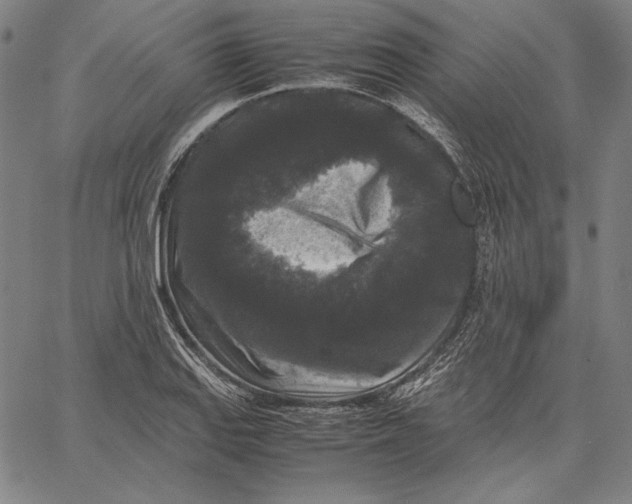 X0000067401127200604211652